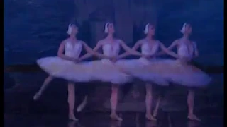 Лебединое озеро| Swan Lake. Saint Petersburg Imperial Ballet Theatre