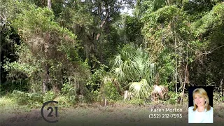 Lots And Land for sale - 6 Hemlock Court S, Homosassa, FL 34446