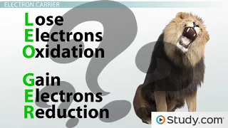 Redox Reactions & Electron Carriers in Cellular Respiration  Definitions and Examples