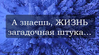 Очень душевный стих А знаешь, жизнь загадочная штука Дмитрий Кудрявцев Читает Happy W