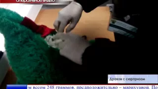 Дракон с сюрпризом