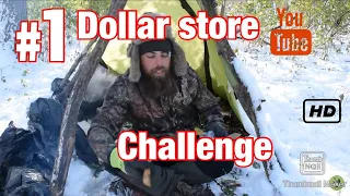 Day 2 Of The Dollar Store Challenge | 10 dollars 10 items