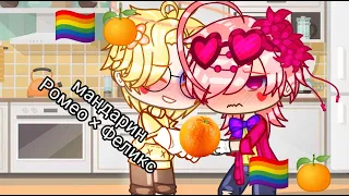 ~🏳️‍🌈🍊МАНДАРИН🍊🏳️‍🌈~ /Ромео и Феликс/13 карт/мини фильм