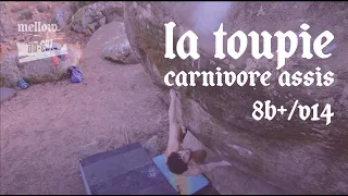 UNCUT: Jimmy Webb - La Toupie Carnivore assis (8B+/V14)