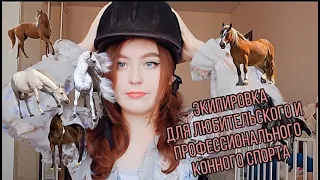 Экипировка всадника | Конный спорт