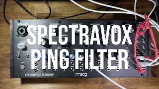 moog SPECTRAVOX // PING FILTER