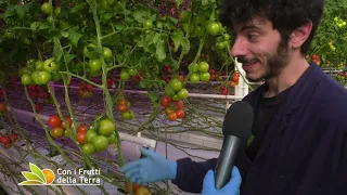 In visita alla serra hi-tech di Ostellato (Fe)