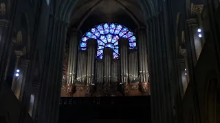 The Pipe Organ in Notre Dame Cathedral