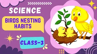 03 Birds Nesting Habits - 3rd Class Science