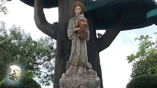 Our Lady of La Vang & Vietnamese Catholicism