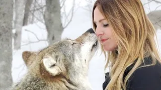 How to greet WILD & TAME WOLVES & not get BITTEN!#videos#youtubevideos#aicatsvideos