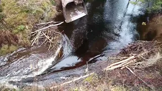 Removing a Beaver dam with an Excavator