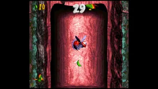 Springin' Spiders (103%) - Donkey Kong Country 3: Dixie Kong's Double Trouble! 103% Walkthrough