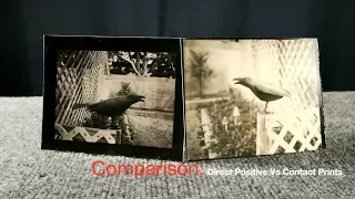 Comparison: Direct Positive Vs Contact Prints