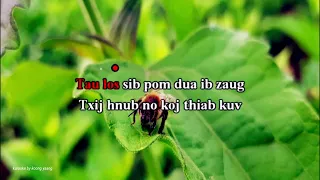 Puas Tshav Ntuj Nrig  Karaoke / Intrusmental