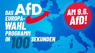 AfD Europawahlprogramm in 100 Sekunden