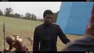 Chadwick Boseman interrupted by a goat