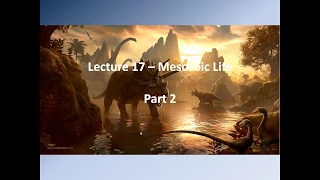 Lecture 17 – Mesozoic Life Part 2