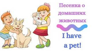 Песенка о домашних животных на английском/ My pets