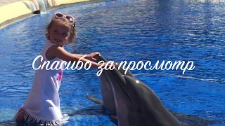 Aqualand Dolphin show.Tenerife. Шоу дельфинов в аквапарке. Тенерифе