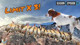 Chukar Hunt of the Century - The Journey For a Three Man Limit