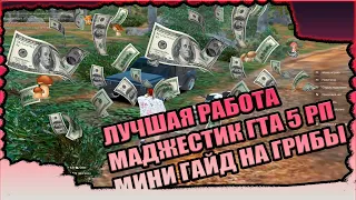 Лучшая работа на Маджестик Гта 5 РП Гайд На Недо Грибника Или Же Как Не Спиться В Лесу Среди ГРИБОВ