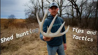 Shed Hunting Tips And Tactics