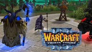 SHADOW KING: ВОЗМЕЗДИЕ ХАОСА! - ФИНАЛ! - Warcraft 3 #12