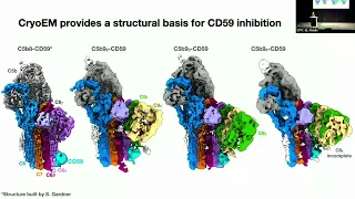 Capturing Inhibited Assemblies of the Membrane Attack Complex by CryoEM - Emma Couves