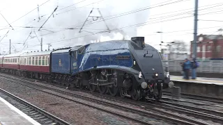 60007 'Sir Nigel Gresley' Accelerating Hard through Doncaster - Steam Dreams to York - 02/03/24