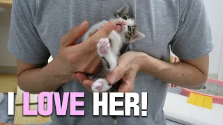 My Friend is Totally in LOVE with the Baby Kitten!