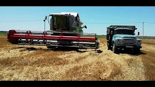 Уборка пшеницы ХАЙ ТАК завершена. Результат неожиданный. HIGH-TECH wheat harvesting is completed.