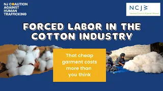 Forced Labor in the Cotton Industry