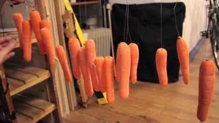 Musical Carrots with Makey Makey