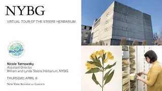 Virtual Tour of the Steere Herbarium