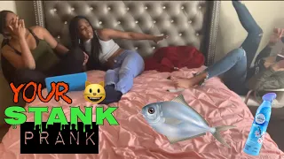 YOUR KITTY STANK PRANK 2019 😺🤢 | Noni Kae