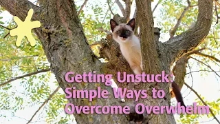 Getting Unstuck: Simple Ways to Overcome Overwhelm (improved audio)