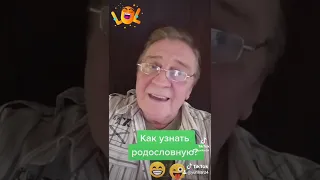 Анекдот как узнать родословную.