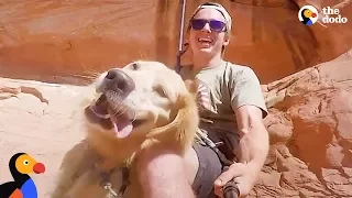 Adventure Puppy Helps Rescuer Heal After Losing His Best Friend | The Dodo