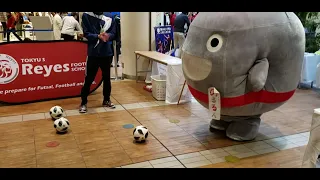 のるるんがサッカーの練習