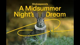 A Midsummer Night's Dream  |  Dream in High Park 2023