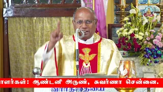 Fr Lionel, Tamil Mass, Vailankanni Basilica 13 09 23