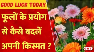 Good Luck Today: फूलों से कैसे पूरी होगी मनोकामना, जानिए कौन से फूल से मिलेगी शिक्षा में सफलता