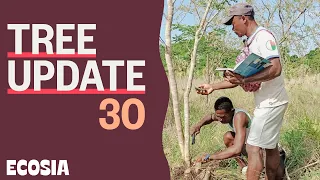 Satellites and 3D maps REVEAL Tree Growth | Tree Update 30