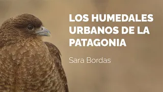 Los humedales urbanos de la Patagonia | Documental