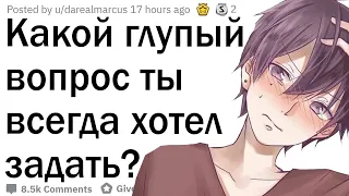 Какой глупый вопрос ты всегда хотел задать?