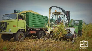 Feldhäcksler Maral 150 / IFA W50 / Fadroma L2 "Maral 150 Einsatz im Futtermais 2021"