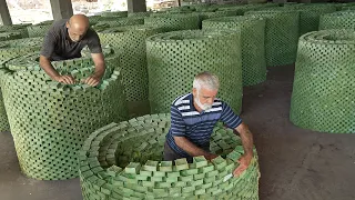 Amazing Way They Stack Millions of Olive Soap Bars by Hand