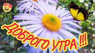 🌼🌷🌸Самого прекраснейшего утра ! 🌞Счастья, здоровья , удачи ! 🎵красивое музыкальное пожелание🎵