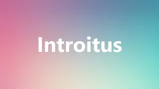 Introitus - Medical Meaning and Pronunciation